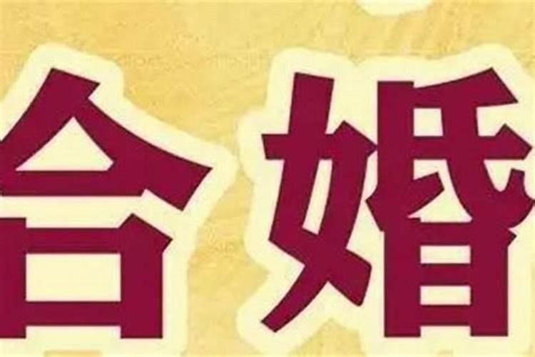 婚姻合合是什么意思？