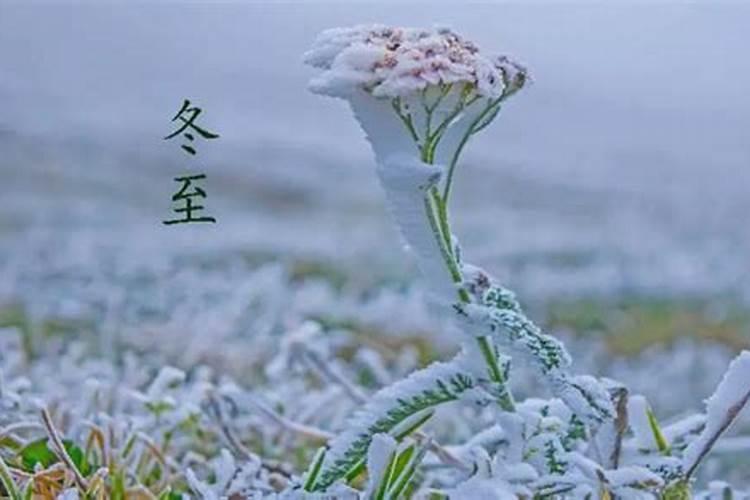 2021年冬至结婚好吗,冬至日适合结婚吗