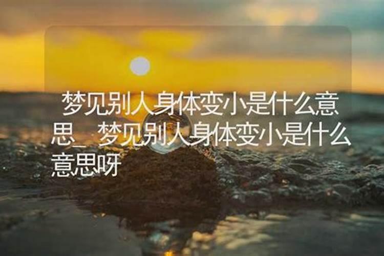 一天中太阳在天空中的位置是怎样移动的