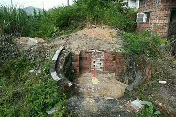 属相猪和牛相配婚姻如何 猪与牛配夫妻怎么样