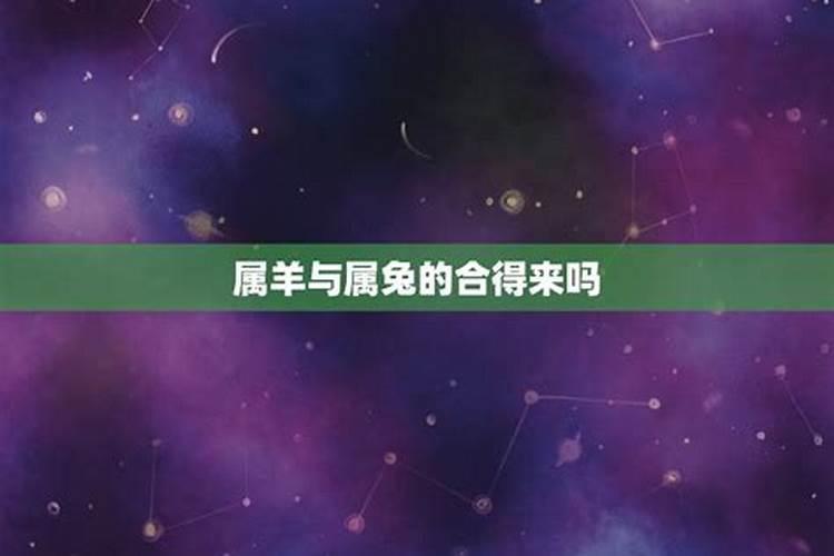 属羊和属兔的合不合