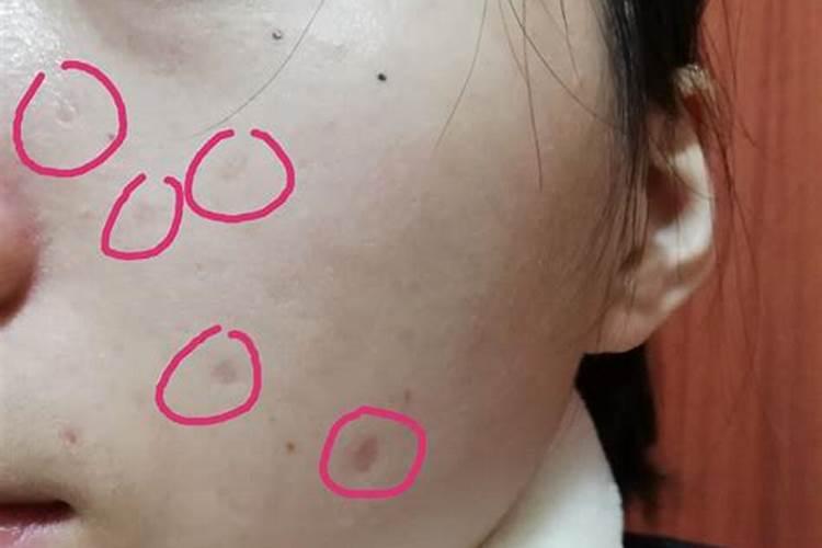 董易奇十二生肖2025运程