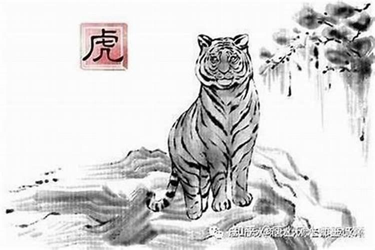 83年属猪的今年的婚姻