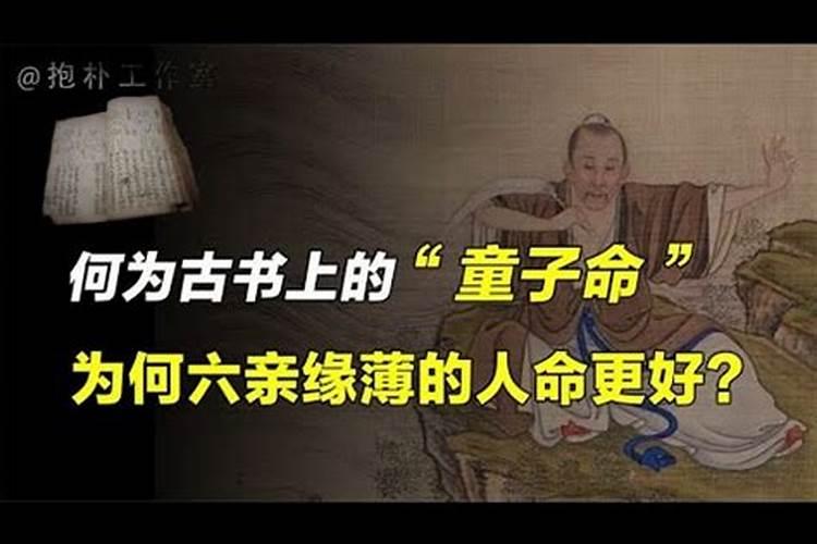 2024年属狗人的全年每月运势
