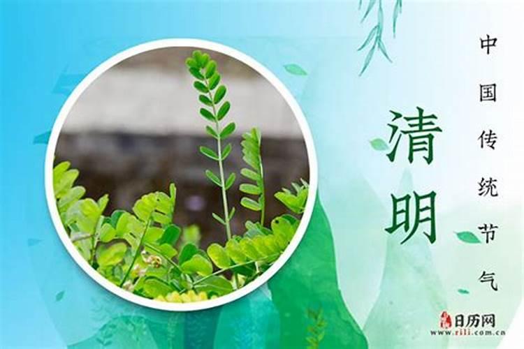扬州冬至风俗 扬州冬至风俗有哪些