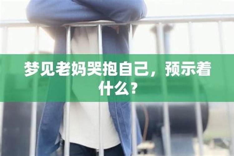 生肖猪1995年2025年运势如何 生肖猪1995年2025年全年运势
