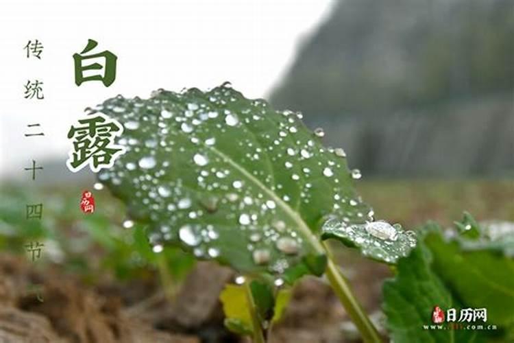 二十四节气月份对应表