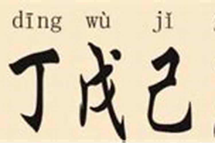 属牛的女人一生是否好命