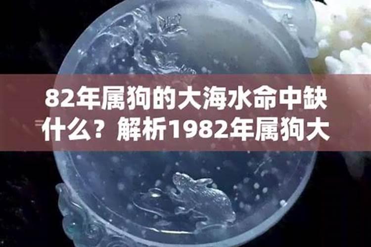 1982年是什么命