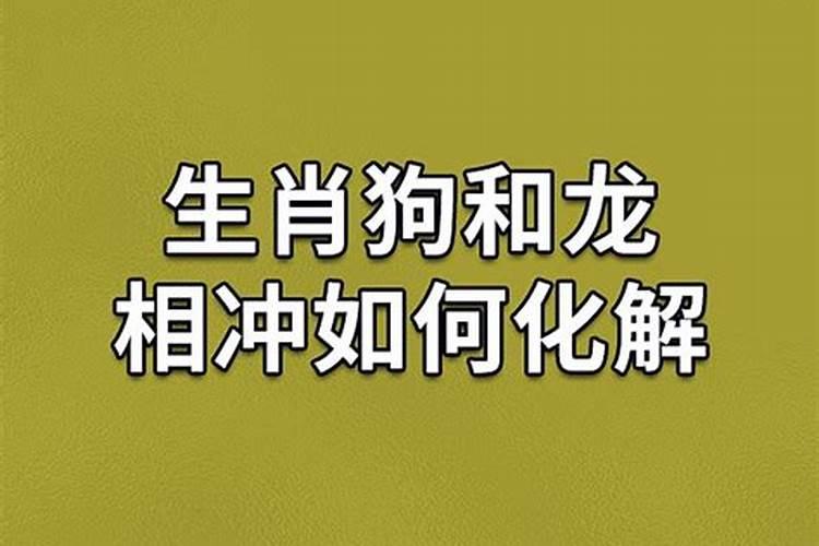 属龙能否帮属狗拜太岁