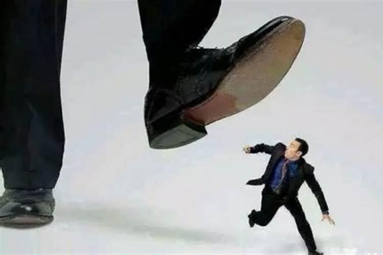 女人梦见蛇追着咬我