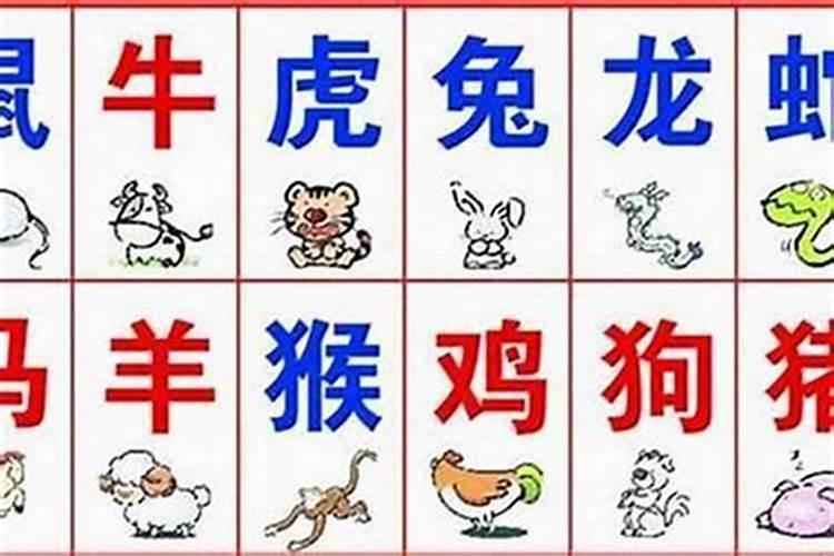 鬼谷子算命称骨完整版