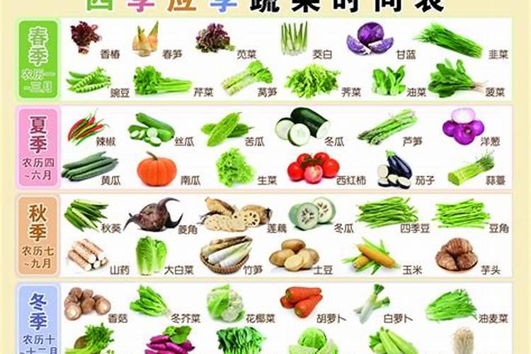 庭院种植什么树风水好,招财