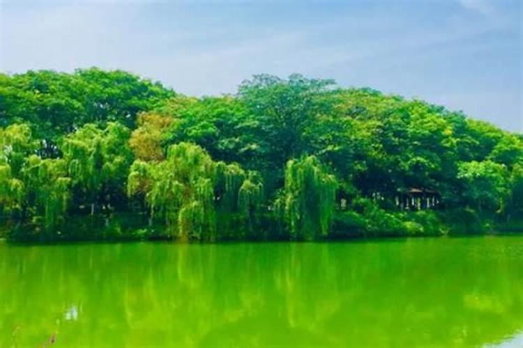 有没有做过和合术的？真的成功了么？
