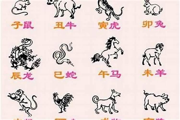 12生肖哪个是小人