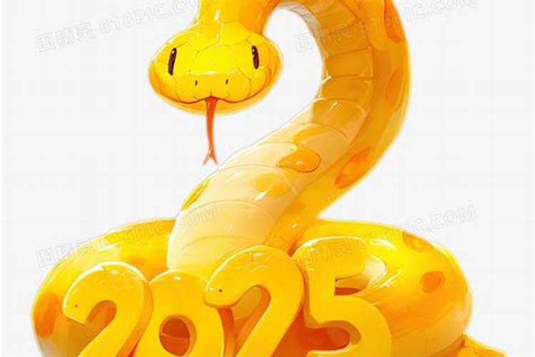 2025蛇是什么号码