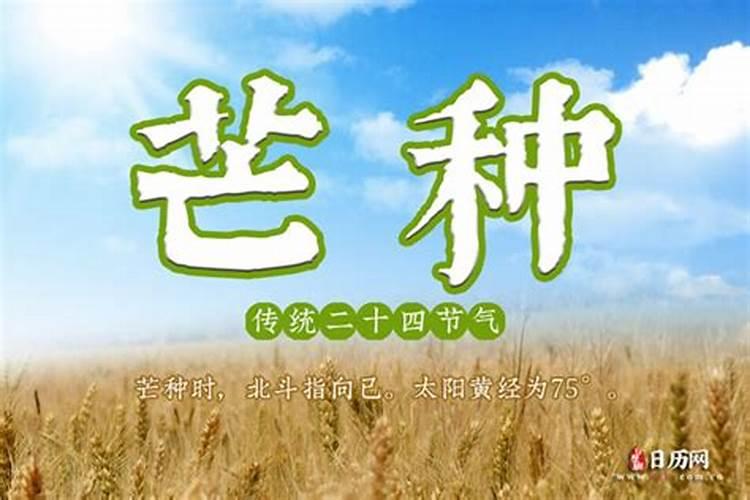 “芒种”又叫“忙种”,它是二十四节气中的第几个节气？