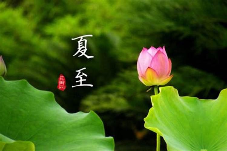 “芒种”又叫“忙种”,它是二十四节气中的第几个节气？