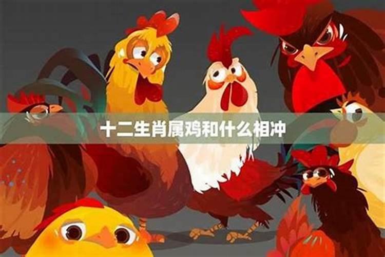 2024年犯太岁化解的方法,怎样化解冲太岁