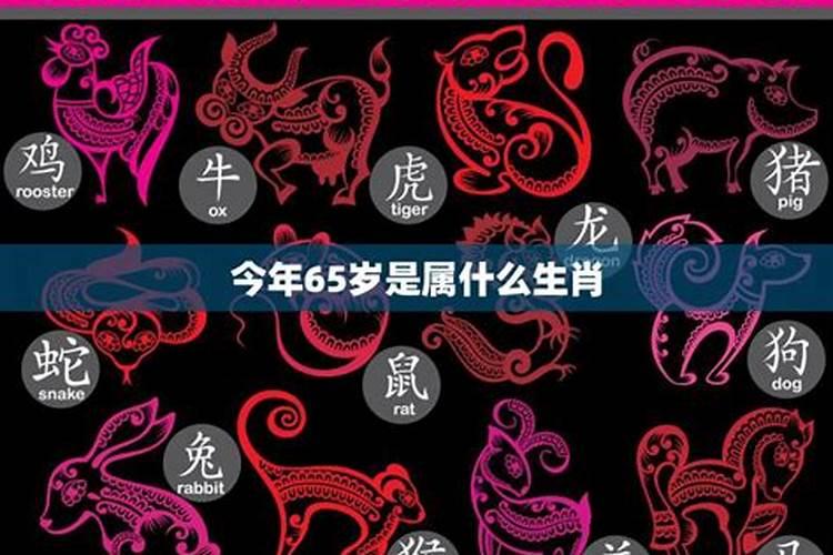 生肖运势谁算的准,生肖运势准吗？