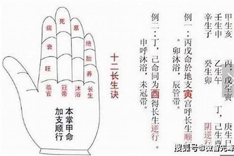 属鸡婚配什么属相最好