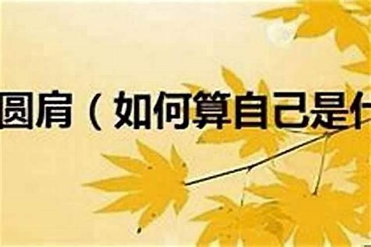 信佛教,如何为堕胎的孩子念佛赎罪？