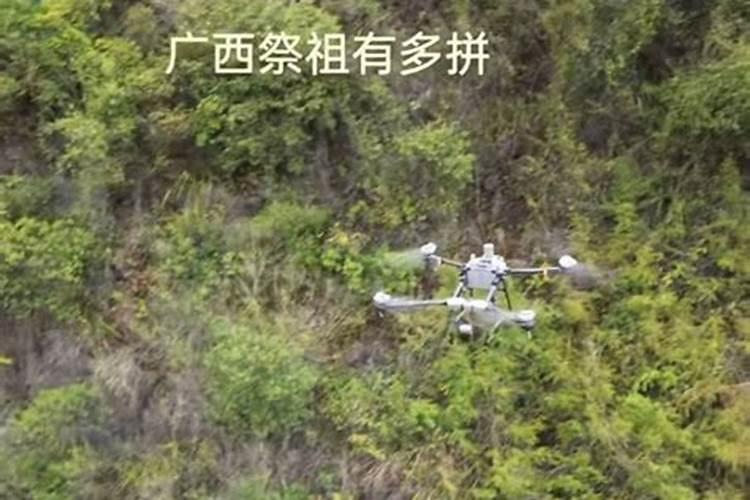 谁知道重阳节的知识问答？