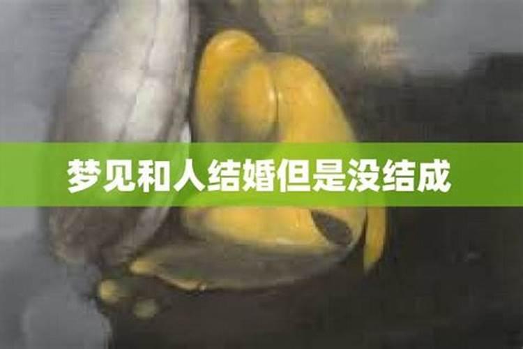 命局分析 农历九月初九出生是什么命 哪个时辰出生好？