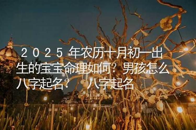 结婚忌属相