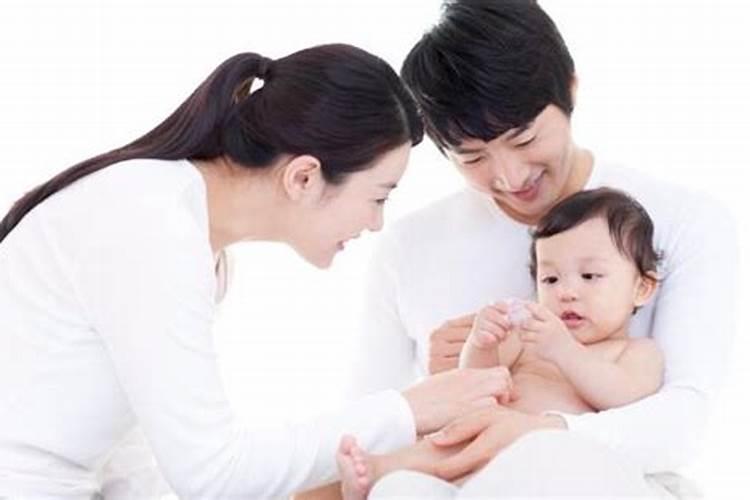 生肖属鼠今年运势如何？