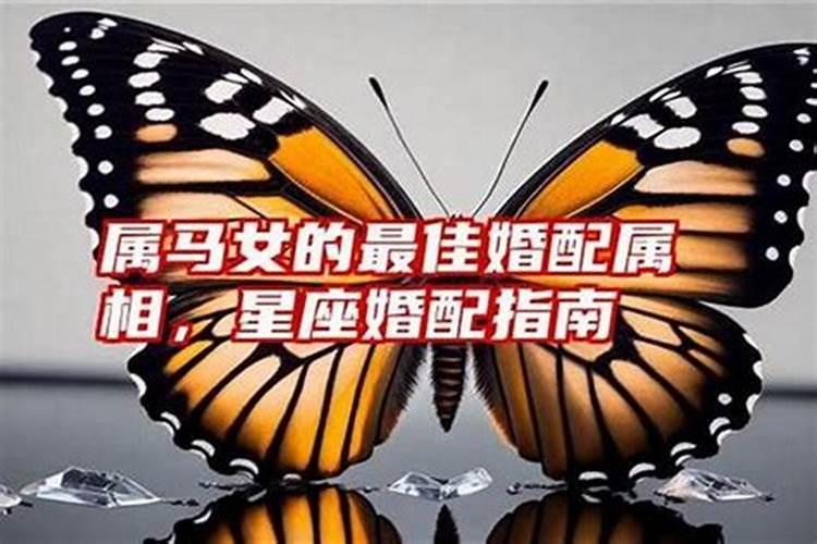 1988年属龙女2024年财运事业运