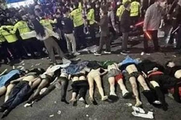 女人梦见乌龟咬自己不松