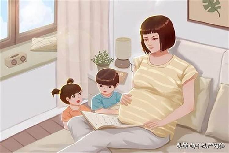 三宝的故事