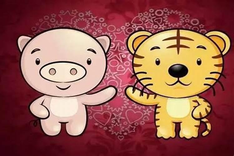猪虎家庭的幸福孕育：探索最佳宝宝选择