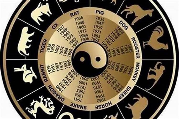 松树代表什么生肖？