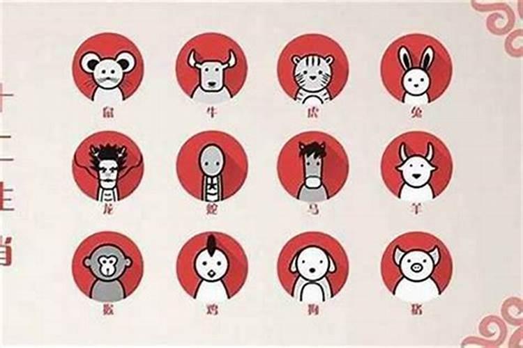 松树代表什么生肖？