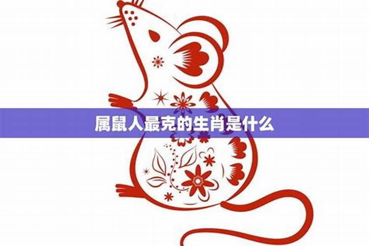 揭秘生肖鼠的财富良缘：谁是最旺财的搭档？