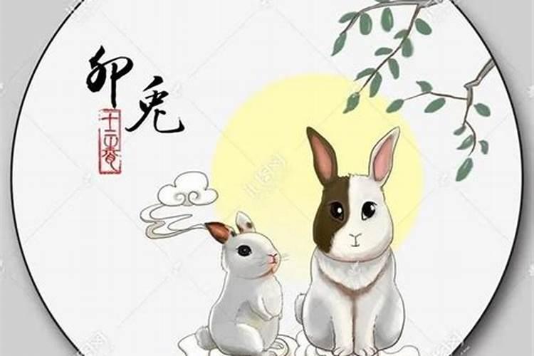 为什么明年叫做木兔年？请问有什么意思和含义？