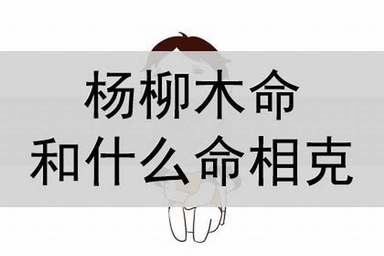 木命和什么命相克