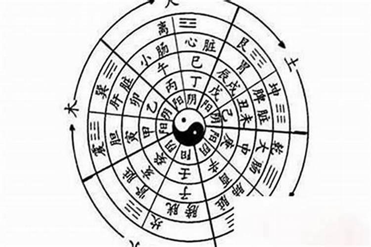 缩命：命理学视角下的生死奥秘