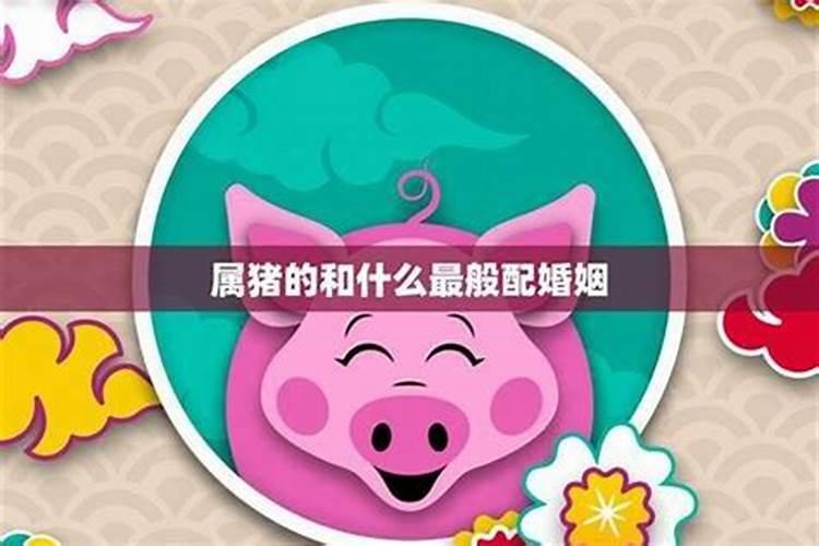 揭秘生肖鼠的天作之合：寻觅理想伴侣