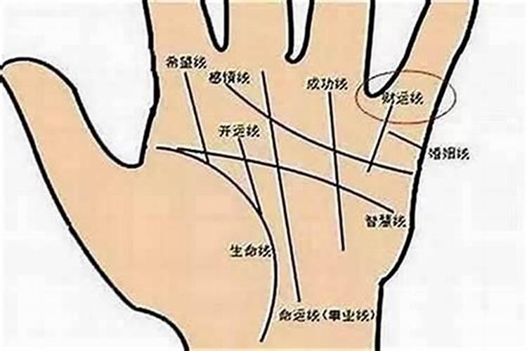 掌纹与命运：生命线的长短真的能决定寿命吗？