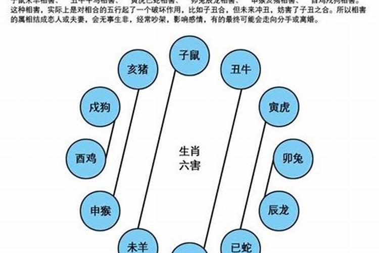 姐弟属相存在相克吗？