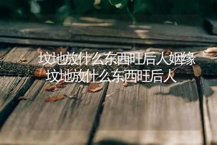 风水宝典：坟地放什么东西旺后人？