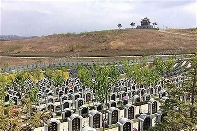 墓地风水不好对后代的影响：揭示风水学的神秘力量