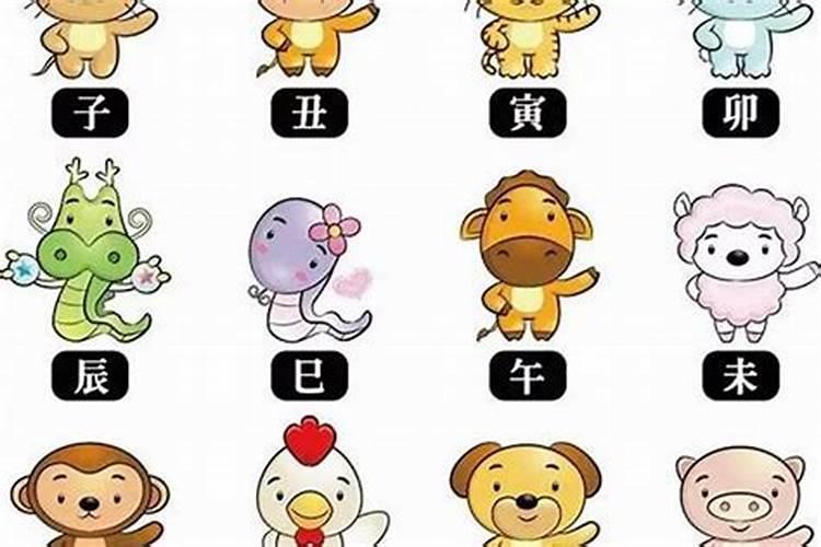 有房子住的生肖是什么？