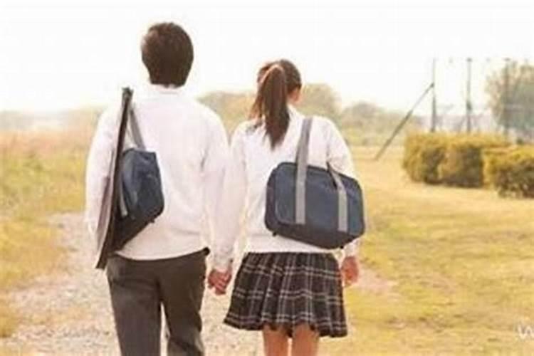 梦回初心：当初恋在梦中绽放