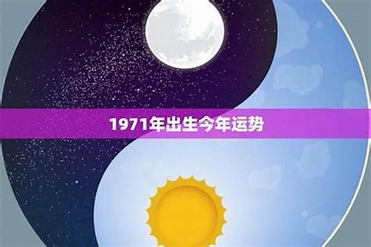 属马人今年运势深度解析：迎接挑战，把握机遇