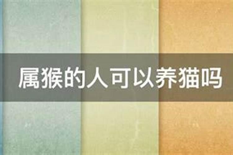 属猴的能养猫吗？
