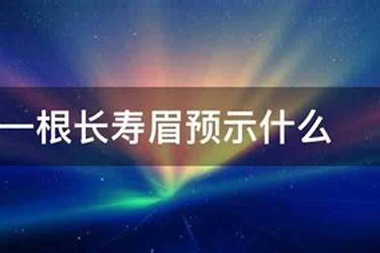 长寿眉预示什么